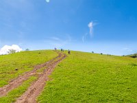 Destiny Hill